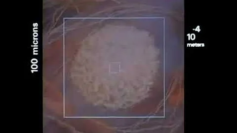 The Holographic Universe   Part One