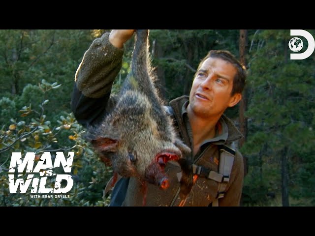 Bear Grylls' Jaw-Dropping Hunt for a Wild Pig | Man Vs. Wild | Discovery class=