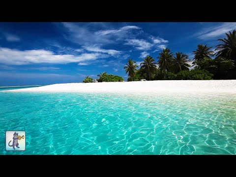 Breathtaking Beaches 🌊 Amazing Nature Scenery & The Best Relax Music