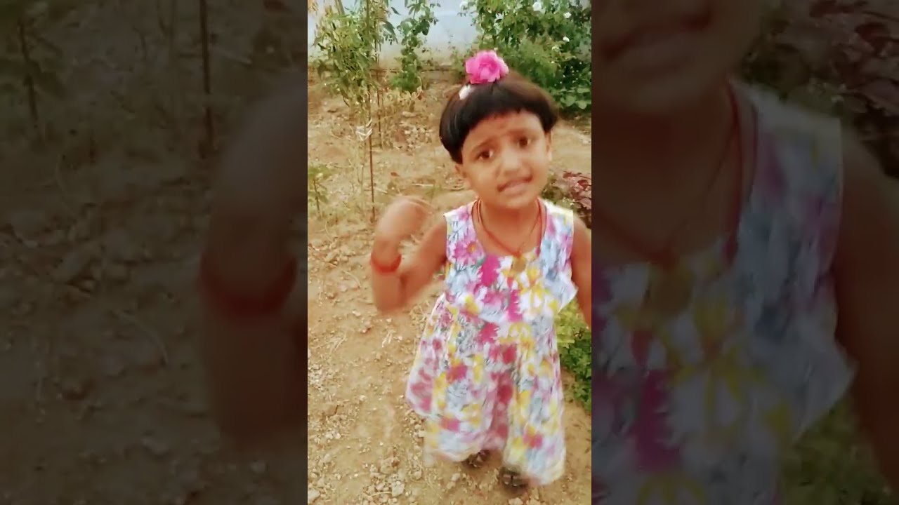 Kutti pisasu 