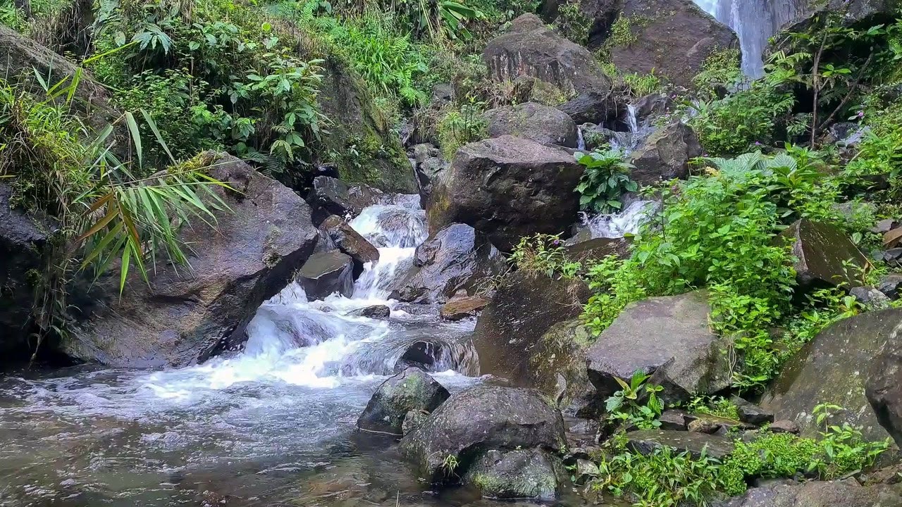 Soft Stream White Noise | Relaxing Water Flow for Deep Focus and Inner Calm