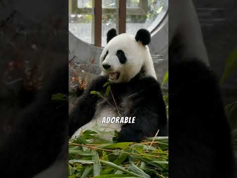 Discover China’s Stunning