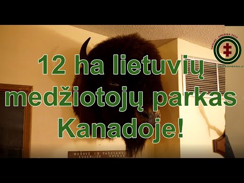 Video: „Kanados Hamiltono“vidury Dienos Parskrido „didelė Geležinė Dėžė“- Alternatyvus Vaizdas