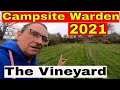 Campsite Warden 2021 - The Vineyard