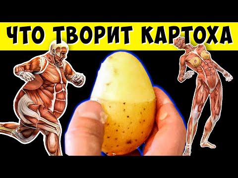 А Что Будет, Если Есть Картошку Каждый День