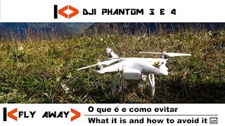 Não perca o seu drone!!! Dicas valiosas de DJI Phantom 3 e 4 #5 (EN-US/PT-BR)
