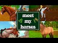 MEET MY HORSES || SSO RRP