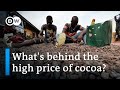 Soaring cocoa prices: Blessing or curse for African farmers? | DW News