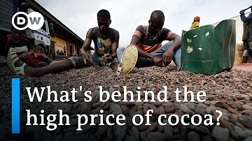 Soaring cocoa prices: Blessing or curse for African farmers? | DW News