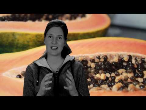 Video: Was tun mit einer Papaya mit schwarzen Flecken – Behandlung der Papaya-Schwarzfleckenkrankheit