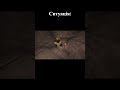 Завжди є вихід Shorts Gaming Games Minecraft майнкрафт Завжди є вихід Shorts Gaming Games Minecraft майнкрафт