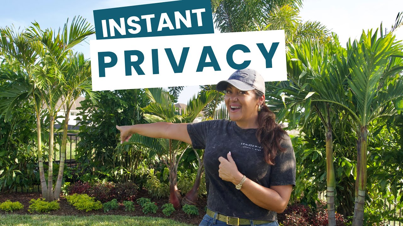 Get Instant Privacy from NOSEY Neighbors with Lush Tropical Screens!