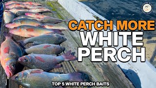 The ONLY 5 White Perch Baits That Matter!