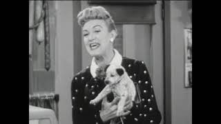 Our Miss Brooks (May 13, 1955)