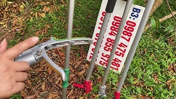 Tổng hợp các mẫu kéo cắt cành cắt hoa quả trên cao thật hiệu quả cho các bác làm vườn.lh 0984855975