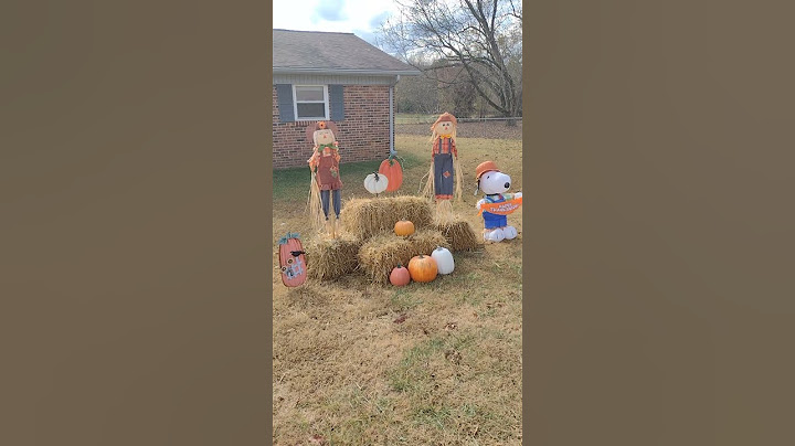 Thanksgiving 2023 Display #shorts #fall #thanksgiving