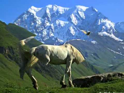 Svaneti--,,მიშგუ ლადეღ სი\"