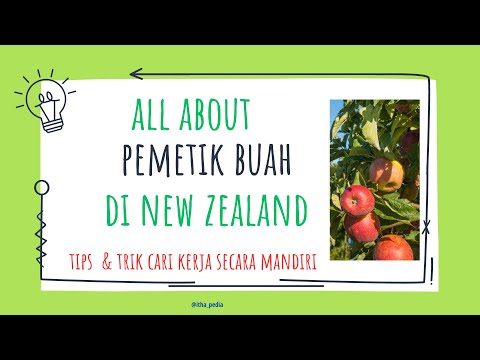 Video: April di New Zealand: Panduan Cuaca dan Acara