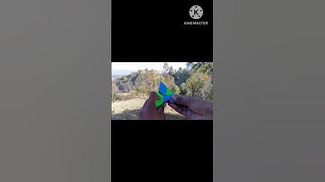 how to solve the Pyraminx Cube last Layer #shorts #ytshorts