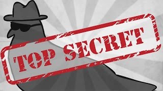 ПОЧЕМУ НЕ ВИДИМ МАЛЕНЬКИХ ГОЛУБЕЙ? / ЧТОЗАПОЧЕМУ? ПОЧЕМУ НЕ ВИДИМ МАЛЕНЬКИХ ГОЛУБЕЙ? / ЧТОЗАПОЧЕМУ?