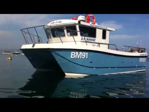 cougar catamaran 8m for sale