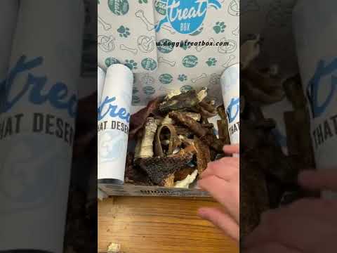 Training video and update for Doggy Treat Box fans