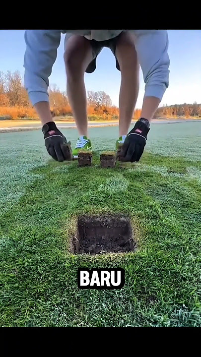 Menganti rumput layu jadi rumput segar‼️😱#shortvideo