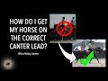 How Do I Get My Horse To Canter On the Correct Lead? (Student Lesson) (DMA TV Ep261)