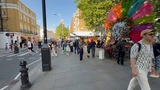 LONDON WALK | CHELSEA IN BLOOM 2025 | Flower Displays, Kings Road & Sloane Square [4K HDR]