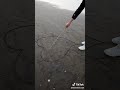 انا مستنى بس اشارة واستناك