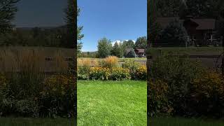 IMG 1142