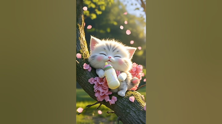 Cat Dance ❤️| Cute kitten #ai #cat #lovecats #cats#catvideos #funny #kittens #catlover 17062025C