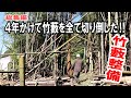 4年かけて人力で5反以上の竹藪を全て切り倒す!機械なしの壮絶な挑戦|総集編