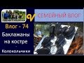 Баклажаны на костре. Икра. Вечер в семье. Колокольчики Влог 74 многодетная семья Савченко