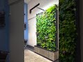 Bring Nature Indoors with Our Hassle-Free Green Wall 🌿 #indoorgardening #greenliving