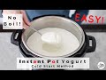 How To Make Homemade Yogurt in the Instant Pot