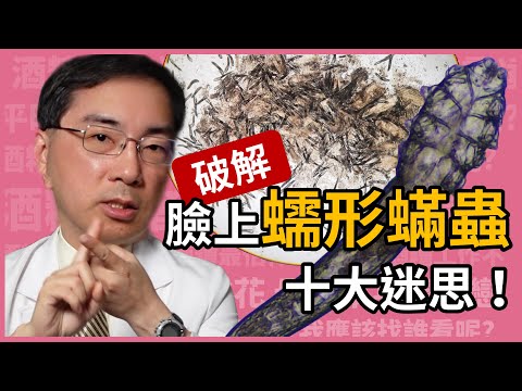 破解蠕形蟎蟲十大迷思，皮膚科林政賢醫師一一幫你破解。