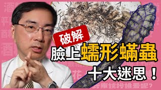 破解蠕形蟎蟲十大迷思皮膚科林政賢醫師一一幫你破解。