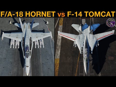 Which Was The Best USN Fleet Defender? Tomcat Or Hornet (Naval Battle Vid 51) | DCS