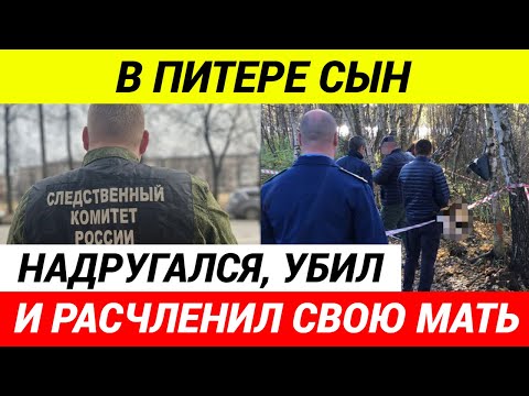 Туловище и голову человека нашли в двух пакетах в поле в Санкт-Петербурге