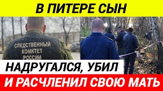 Туловище И Голову Человека Нашли В Двух Пакетах В Поле В Санкт-Петербурге