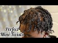 Juicy Two Strand Mini Twists for Teen Boys & Men | Protective Natural Hairstyles for Men