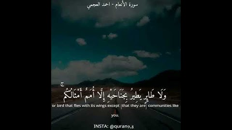 تلاوة من سورة الأنعام بصوت القارئ أحمد العجمي