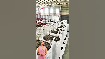 #fcnfm #cayoutube FCN.FM: Innovating the Biomass Industry for a Sustainable Future