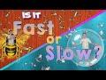 Is it fast or slow bubbles and bees  movement
