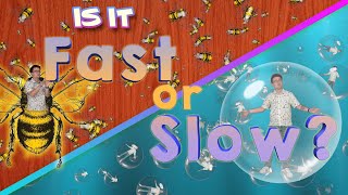 Is it Fast or Slow? Bubbles and Bees! | Movement Video screenshot 5
