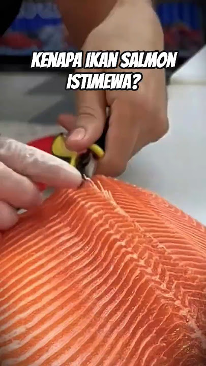 Cara Kerja Mesin Pembuang Tulang Ikan Salmon