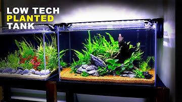 Aquascape Tutorial: Beginner Java Fern / Anubias Aquarium (How To: Step By Step Planted Tank Guide)