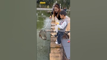 em cần thủ câu cả ngày không được con cá nài bị thằng con khinh thường và cái kết #fishing #cauca