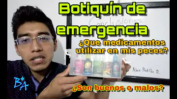 Quais elementos podemos considerar como agentes externos?